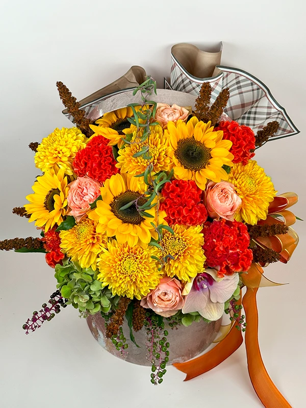 Autumn Elitte